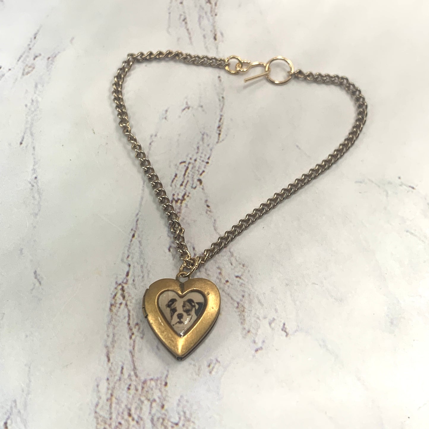 Gold Heart Locket w/ Dog Pic Chain Doll Necklace • 18 inch Fashion Doll Jewelry